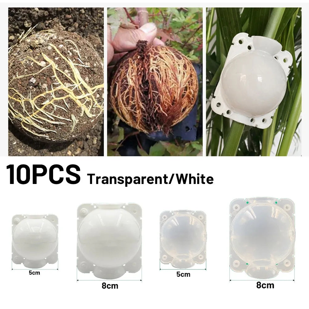 6/10Pcs Plant Rooting Ball High Pressure Graft Breeding Case Nursery Box Propagation Jardinage Plant Root Pot Garden Accessories