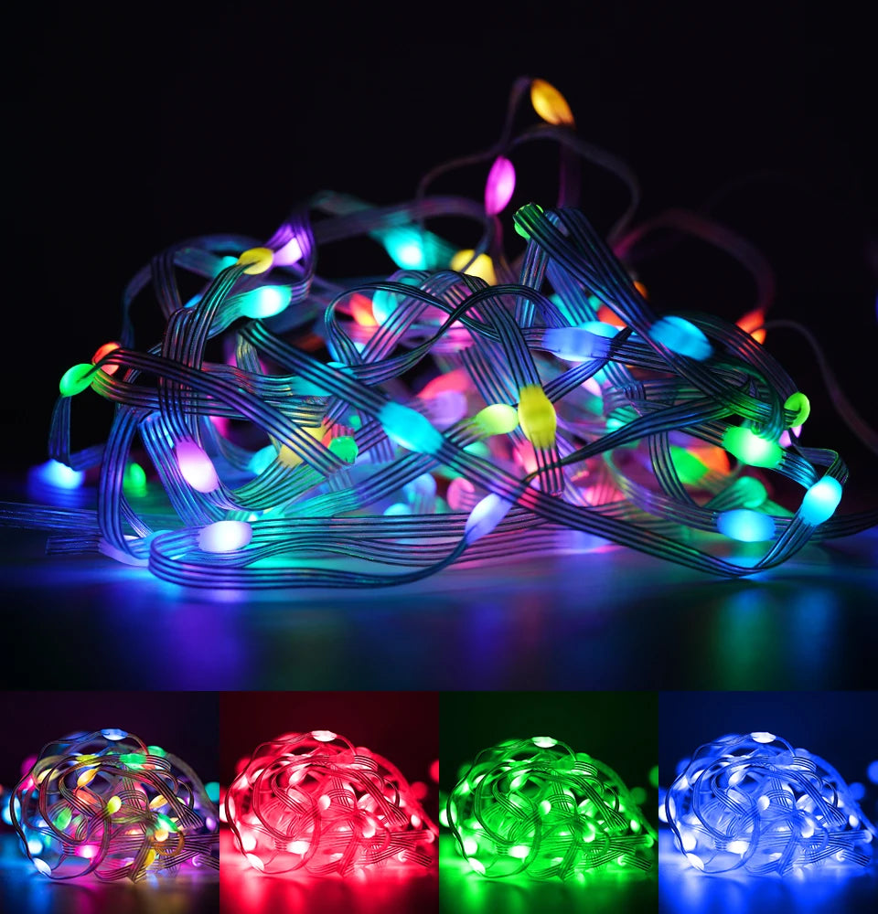 WS2812B RGBIC Christmas Lights LED String 5 m 50 leds WS2812 Birthday Party Room Decoration Light Addressable Individually DC5V