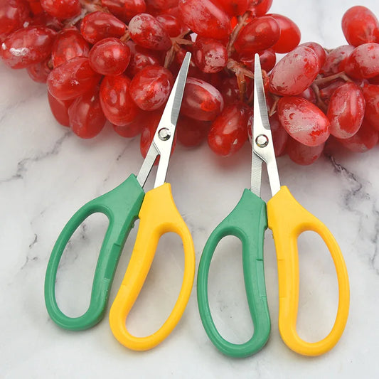 Gardening Tool Scissors Two-color Branch Bonsai Scissors Elbow Rare Fruit Picking Grape Scissors Picking Tool Garden ピッキング 원예가위