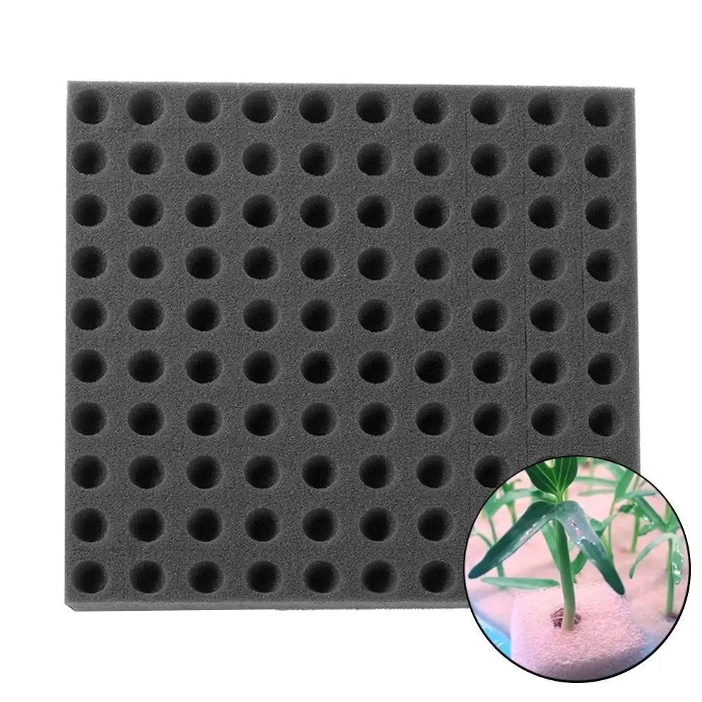 100pcs Slot Foam Hole Sponge Hydroponic Seedling Cultivation Vegetable Hollow Cross Soilless Sponge Block Garden Accessories