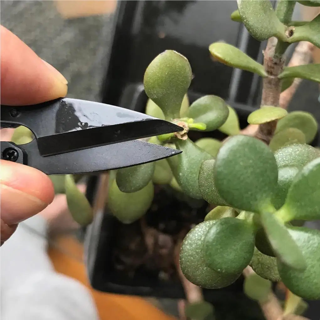 Pruning Shears ABS Garden Trimming Tool Plants Flower Bonsai Scissors Leaves Remover Shearing Tools Vegetables Mini Trimmer