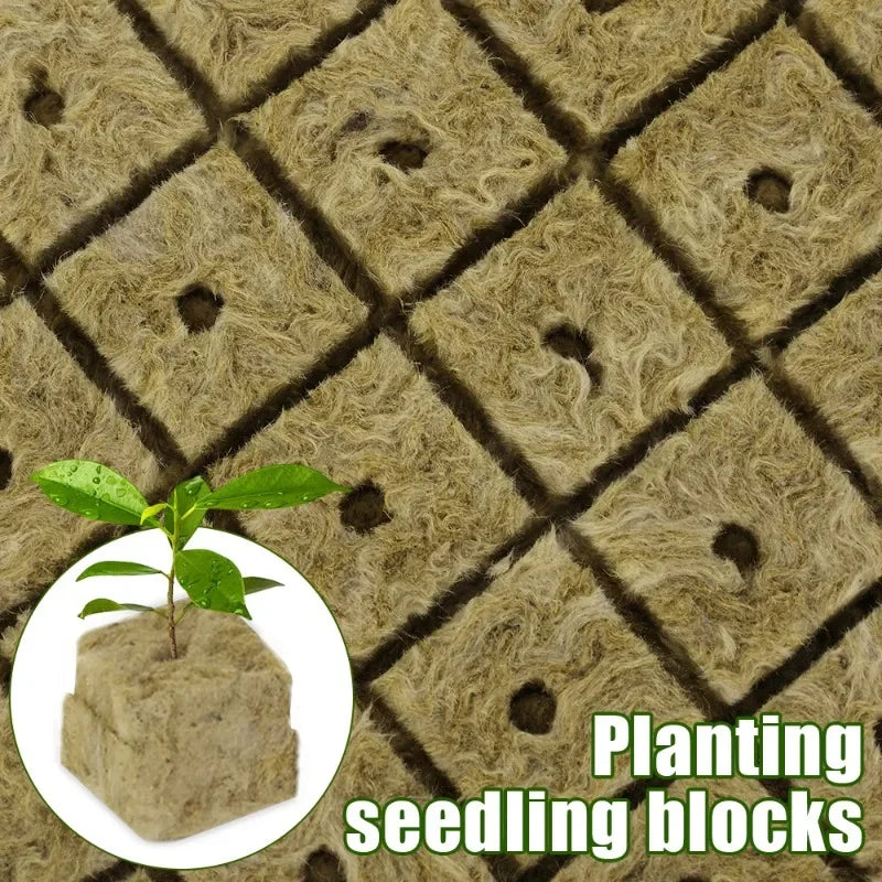 200/50Pcs Planting Sponge Rock Cotton Starter Plugs Hydroponic Grow Media Cube Home Greenhouse Garden Supplies Accessories Tools