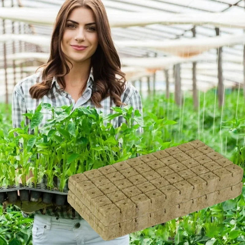 200/50Pcs Planting Sponge Rock Cotton Starter Plugs Hydroponic Grow Media Cube Home Greenhouse Garden Supplies Accessories Tools