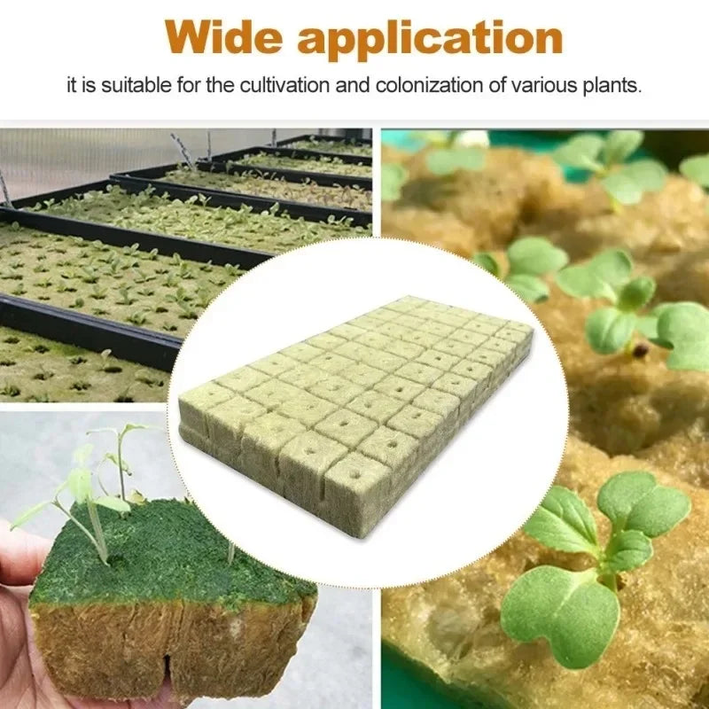 200/50Pcs Planting Sponge Rock Cotton Starter Plugs Hydroponic Grow Media Cube Home Greenhouse Garden Supplies Accessories Tools