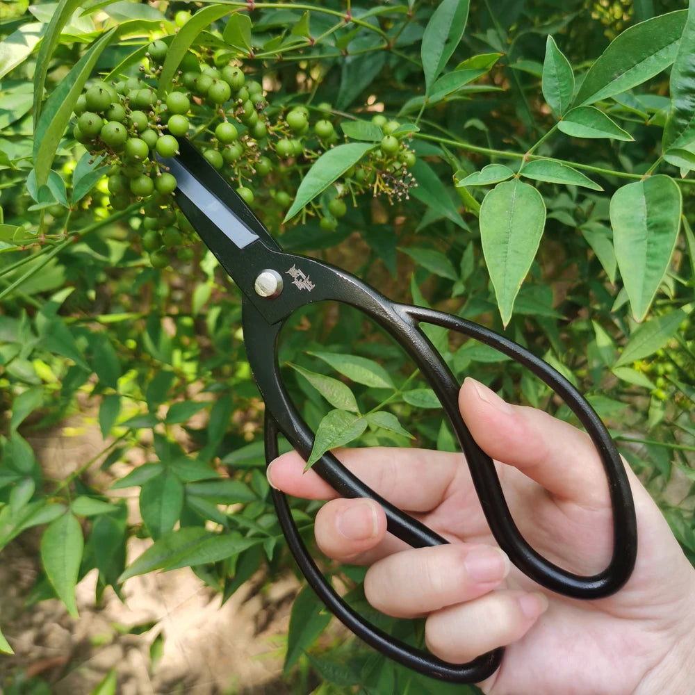 Bonsai Pruning Tool Shear Wire Cutter Garden Extensive Cutters Alloy Steel Scissors Home Garden Pruning Tools Selected Combinati