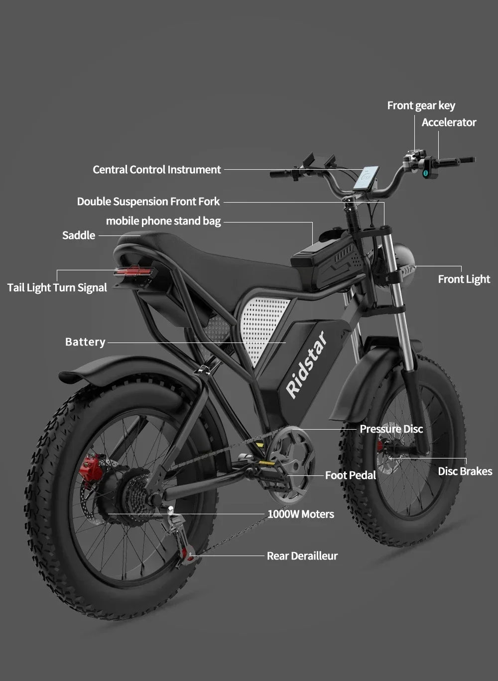 Electric Bicycle 2000W Powerful Motor 52V40AH Removable Battery Oil Brake 20*4.0inch Fat Tire Ebike Snow Mountain Electric Bike