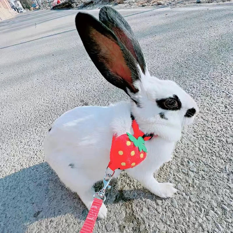 Cartoon Rabbit Harness and Leash Set Walking Adjustable Pet Harnesses for Small Animals Bunny Guinea Pig mascotas Accessories