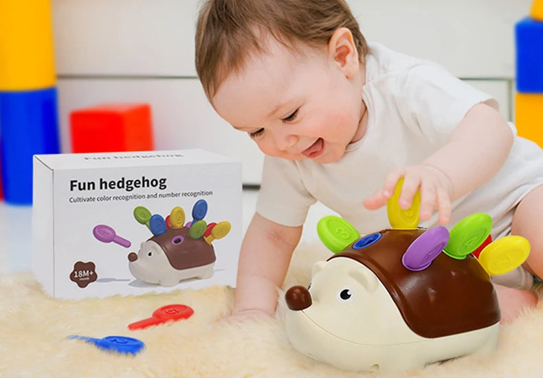 Hedgehog Montessori Educational Toy Fine Motor Toys for Toddlers Learning Counting & Training Develop Concentration Sensory Gift