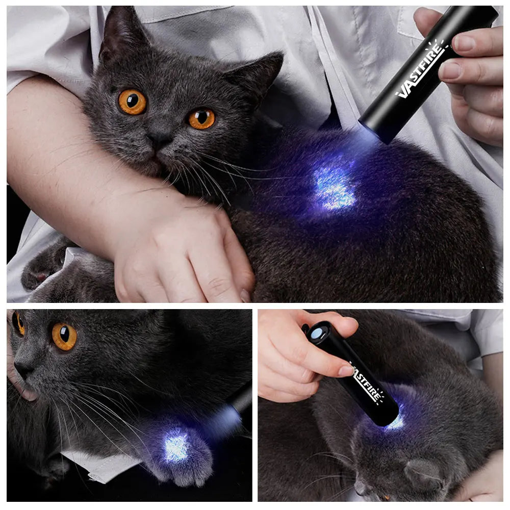 Mini Ultraviolet Handheld Torch 365nm UV Flashlight Purple Torch Jade Money Detector Pet Urine Stains Detector