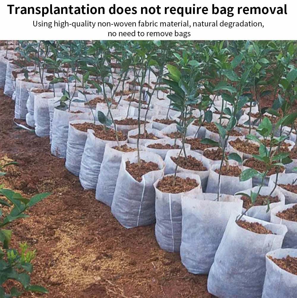 100Pcs Biodegradable Nursery Bag Plant Grow Bags Non-Woven Fabric Seeds To Sow Flower Pots For Home Garden Accessories Tools ﻿