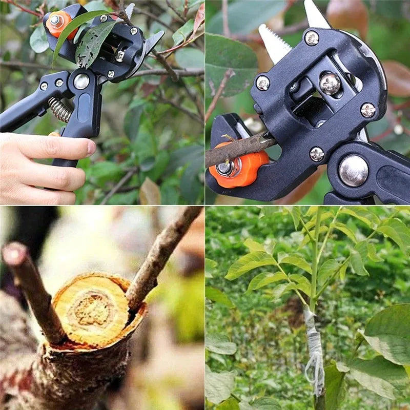 Grafting Pruner Garden Grafting Tool Professional Branch Cutter Secateur Pruning Plant Shears Boxes Fruit Tree Grafting Scissor