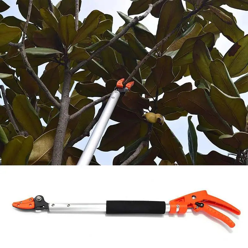 Garden Tree Pruning Shears High Branch Pruning Tool Long Reach Handle Fruit Knife Picker Pruner Cocina Garden Fruit Picking Tool