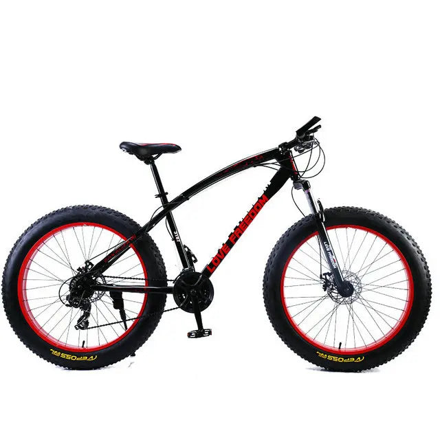 2024 hot sell high quality Professional custom sports fat tire mountain bike for sale special bicycle