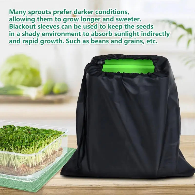 Germination Tray Plant Seeds Dish Garden Soilless Hydroponics Growing System Seedling Tray Sprouting Kit Gardening Accessories