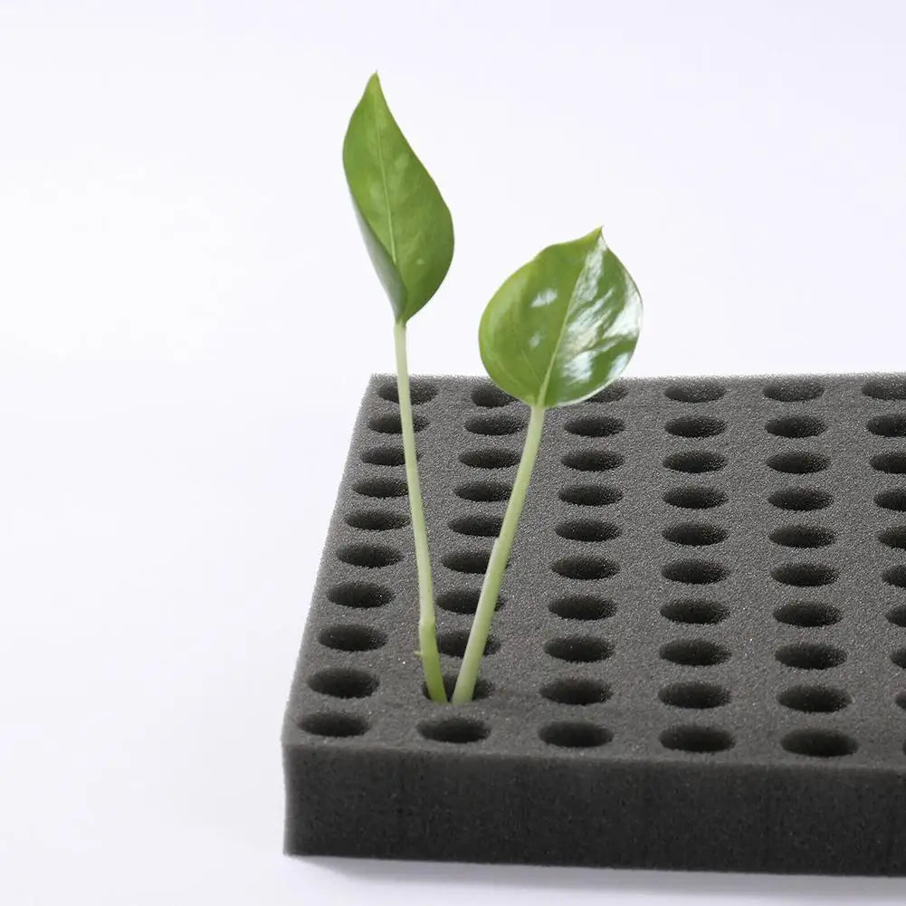 100pcs Slot Foam Hole Sponge Hydroponic Seedling Cultivation Vegetable Hollow Cross Soilless Sponge Block Garden Accessories