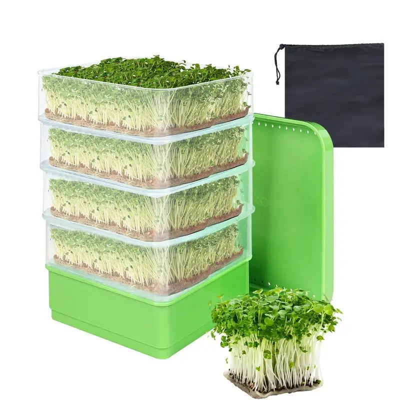 Germination Tray Plant Seeds Dish Garden Soilless Hydroponics Growing System Seedling Tray Sprouting Kit Gardening Accessories