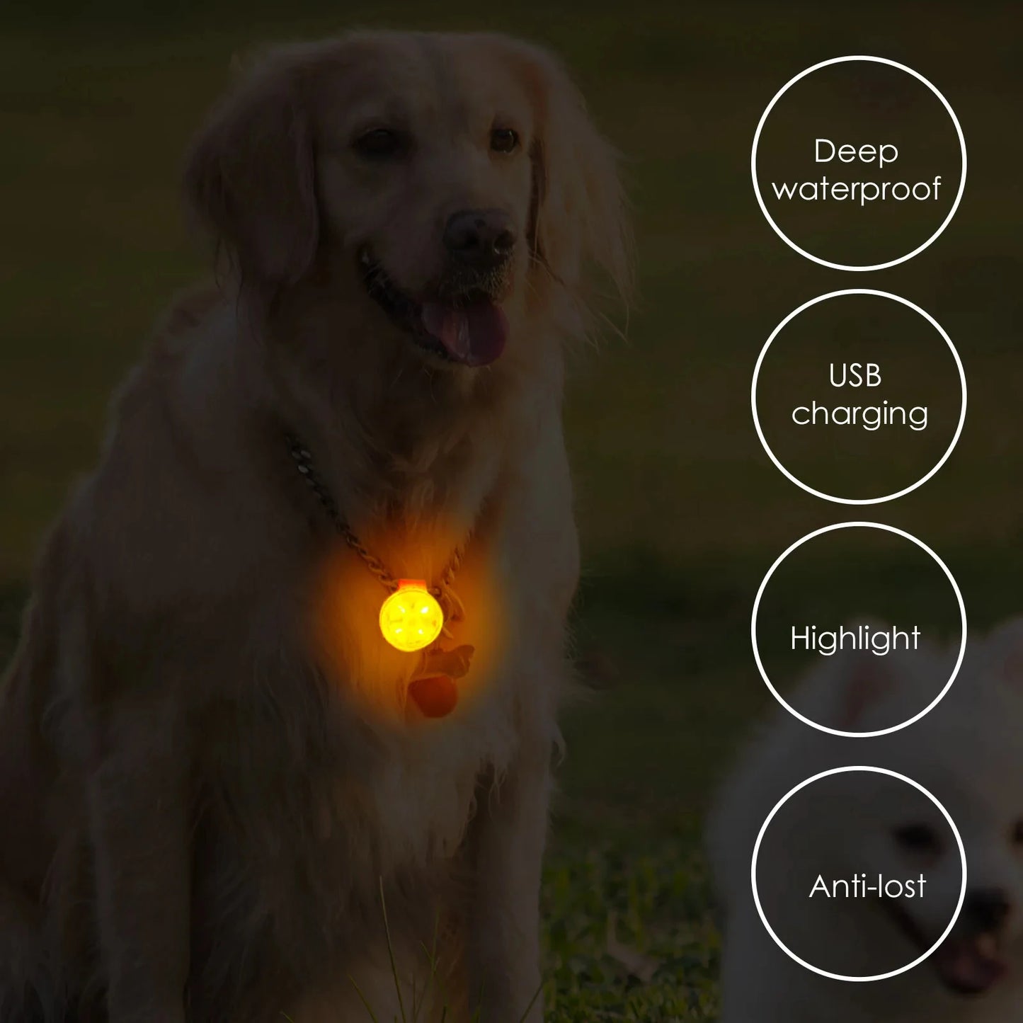 IPX7 Waterproof LED Pet Dog Cat Collar Pendant Night Safety Luminous Light Flashing Pendant With Light for Dog Cat Accessories