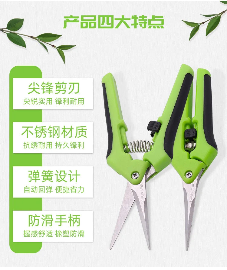 Garden Pruning Shears Stainless Steel Pruning Tools Gardening Tools Scissors Fruit Picking Household Potted Weed Pruning Shears