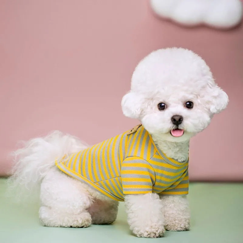 Summer Dog Clothes for Small Dogs Fashion Dog Shirt Bear Print Puppy Thin Shirt Cute Cat Strip Vest Chihuahua Clothes Pet Shirt