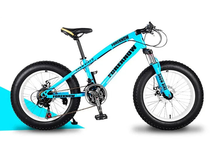 2024 hot sell high quality Professional custom sports fat tire mountain bike for sale special bicycle