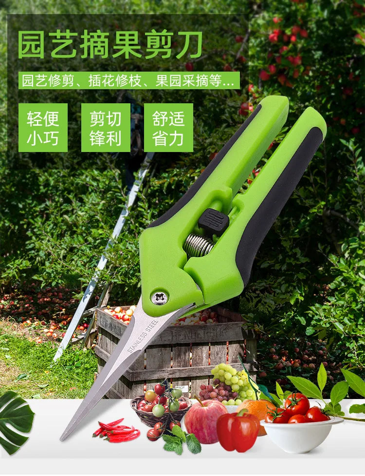 Garden Pruning Shears Stainless Steel Pruning Tools Gardening Tools Scissors Fruit Picking Household Potted Weed Pruning Shears